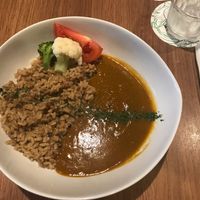 Tasty vegan curry  at Ko-So Cafe in Tokyo