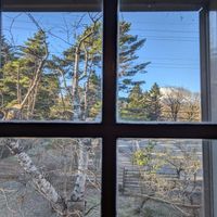  at Vegetarian House Jamoo in Yamanashi