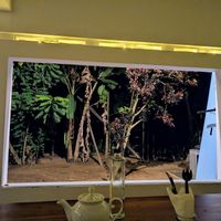 View from the table at Riosy Vegan Restaurant in Tangalle