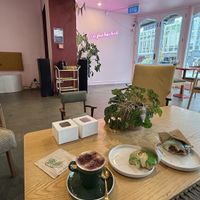 Vibe  at Vonuts in Wellington