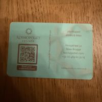   at Kosmopoliet in Bruges