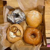 Our prized doughnut collection at Glory Doughnuts & Diner in Frederick