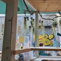 Look at the view at The Lighthouse Cafe in Galway