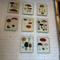   at Le Botaniste - Penn Plaza in New York City