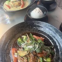   at Kyoto  in Frankfurt