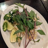  at Lotus Moon Vegan Pho in Boulder