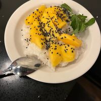 THE PHO is to die for. Yummy "chicken" veggies made from scratch.  Sticky rice coconut mango pudding was delicious., fresh tasting mangos. Owner Tweed was so lovely and hospitable. at Lotus Moon Vegan Pho in Boulder