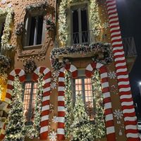 Outside view at La Jungle de Plein in Milan