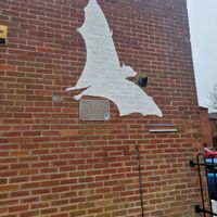 The bat! at Darkroom Chocolate in North Walsham