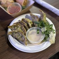 Gyozo  at XO in Swansea