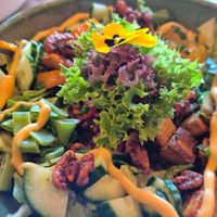  at Green Gold Café in Langballig