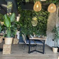   at Green Gold Café in Langballig