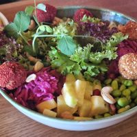  at Green Gold Café in Langballig