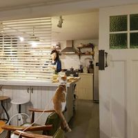 Cat and Kitchen at Cook and Book 쿡앤북 in Seoul