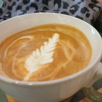  at NOT SO VEGAN in Matosinhos