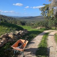  at L.O.V.E. Farmstay in Boliqueime