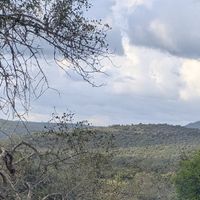  at L.O.V.E. Farmstay in Boliqueime