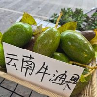 Yunnan avocado at Buddha -菩茶 in Dali