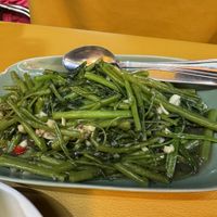 Fried Morning Gloryy  at Zaap Spicys in Phuket