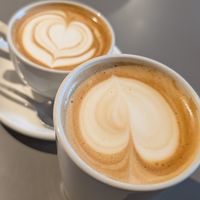Flat white and latte with oat milk at Noshington Café  in Dublin