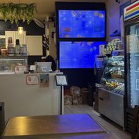   at Pluto Organic Cafe in Seattle