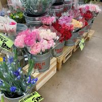   at Trader Joe's in Fort Worth