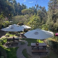outdoor seating at DiPisa in Boyaca