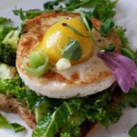 avocado toast with vegan egg at Doug McNish Public Kitchen in Toronto