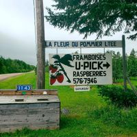 Seasonal Upick  at La Fleur Du Pommier Ltee in Cocagne
