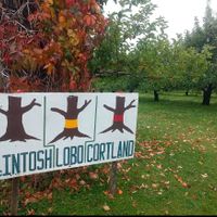 Upick  at La Fleur Du Pommier Ltee in Cocagne