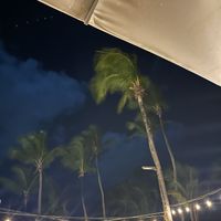 ambience   at Mahi Mahi Bar and Grill in Dorado