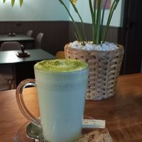 Matcha latte at Black Cat - Café Bar in Murcia