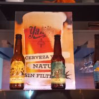 Cervezas artesanales de Murcia Yakka at Black Cat - Café Bar in Murcia