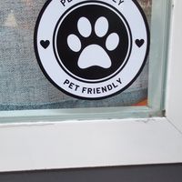 Pet friendly at Black Cat - Café Bar in Murcia