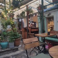 Garden at Kahve 6 in Istanbul
