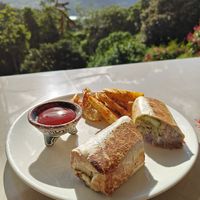 Vegan Burrito at Bar Restaurante Paellas La Oropendola in Nuevo Arenal