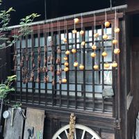 Persimmons drying  at Hinonchi in Hino