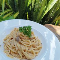  at Tarzan Coffee Hut in Surat Thani