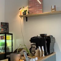   at Fauna x Flora Café in Leipzig