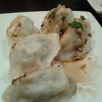 fantastic veggie dumplings at Nomad Asian Bistro in Long Beach