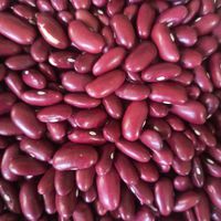  at Menjunje! in Barcelona