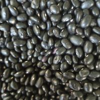  at Menjunje! in Barcelona