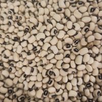  at Menjunje! in Barcelona