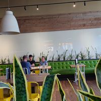 Relaxing atmosphere at True Food Kitchen - Fashion Valley Mall in San Diego