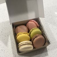 Boite 6 Macarons  at Land & Monkeys - Les Halles in Paris