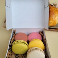  at Land & Monkeys - Les Halles in Paris