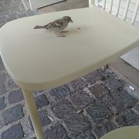 Tods son bienvenids at Land & Monkeys - Les Halles in Paris