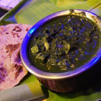 Palak tofu with plain paratha at Old Green House Cafe in Mysore