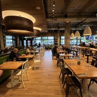 Lovely atmosphere   at True Food Kitchen in Dallas