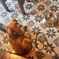   at Hoi An in Nierstein